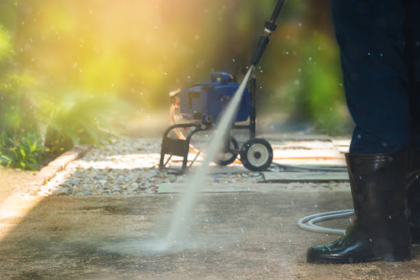 Best Sidewalk and Walkway Cleaning  in Faribault, MN